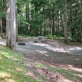 Review photo of Cosby Campground — Great Smoky Mountains National Park by Jeremey D., June 22, 2022