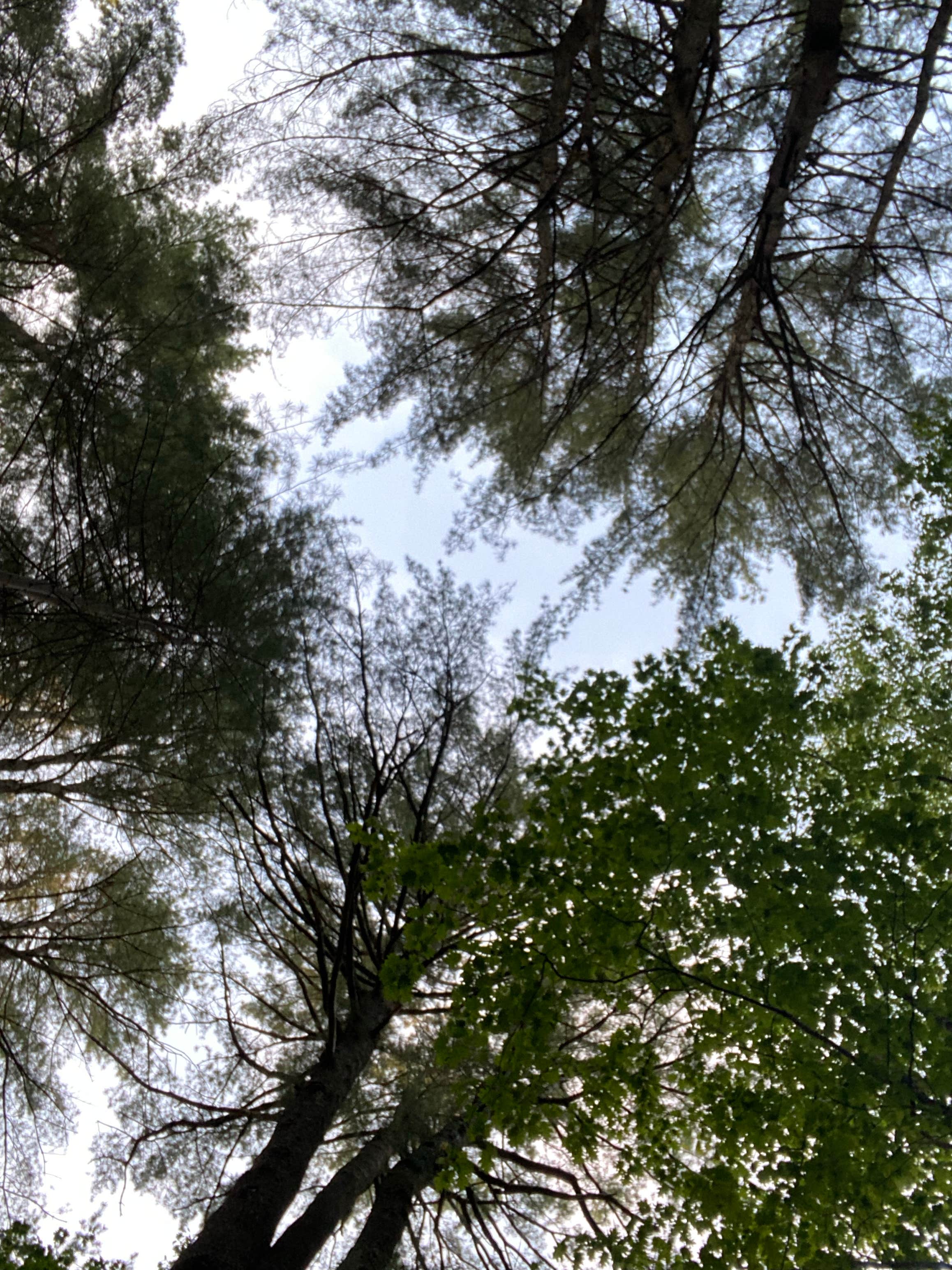 Camper-submitted photo at Wild Duck Adult Campground & RV Park near Shapleigh, ME