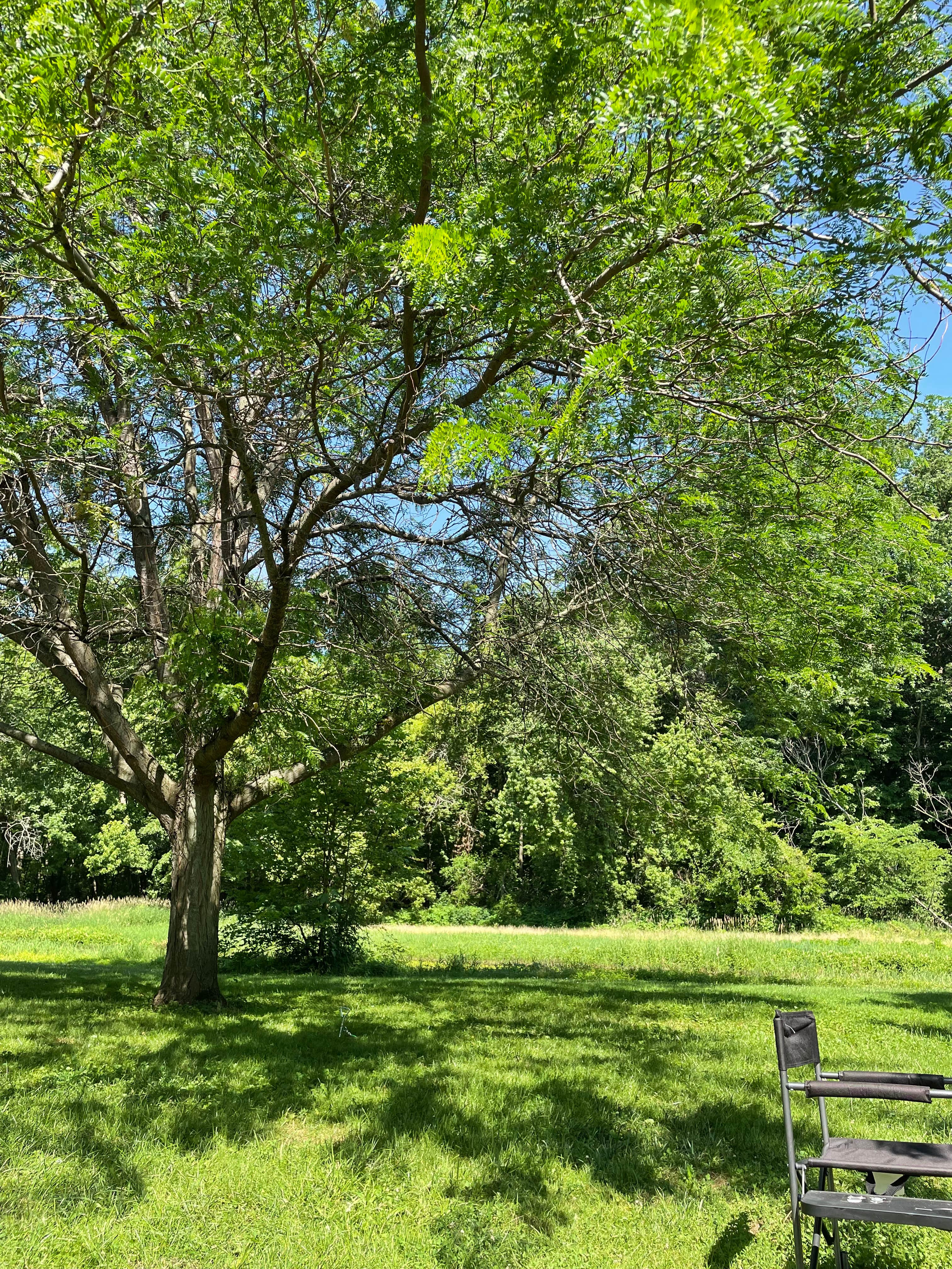 Camper-submitted photo at White River Campground near Plainfield, IN