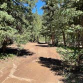 Review photo of Kendall Camping Area by Christopher E., June 22, 2022