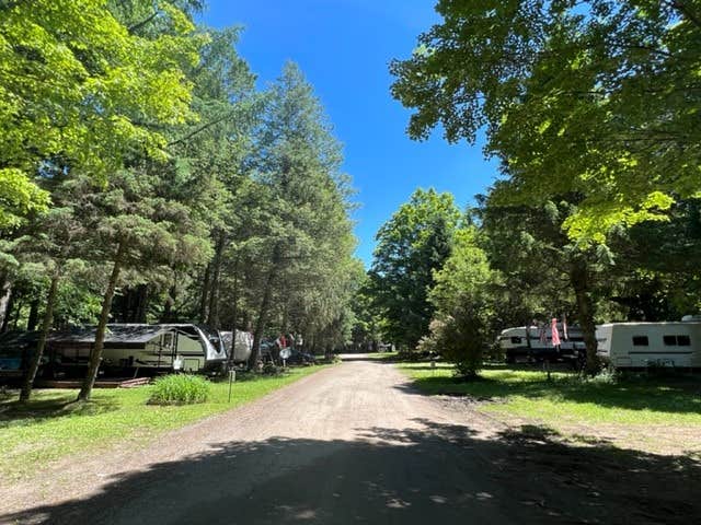 Camper submitted image from Woodside Campsites - 5