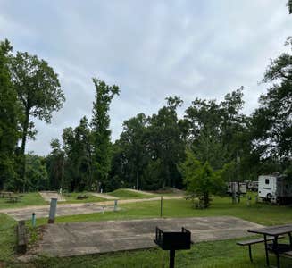 Camper-submitted photo from Magnolia RV Park Resort