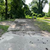 Review photo of Grand Gulf Military Park by Napunani , June 22, 2022