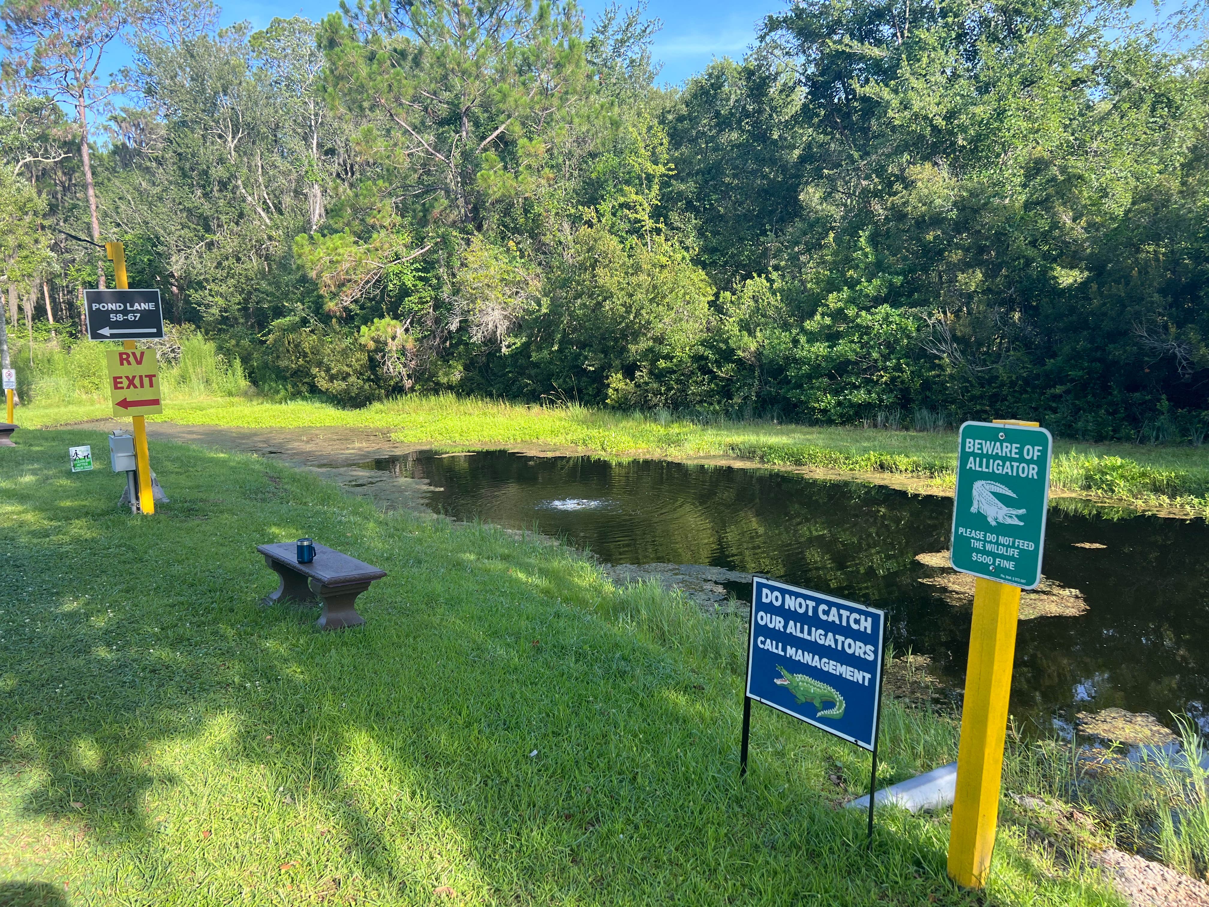 Camper-submitted photo at Lake City RV Resort near Lake City, FL