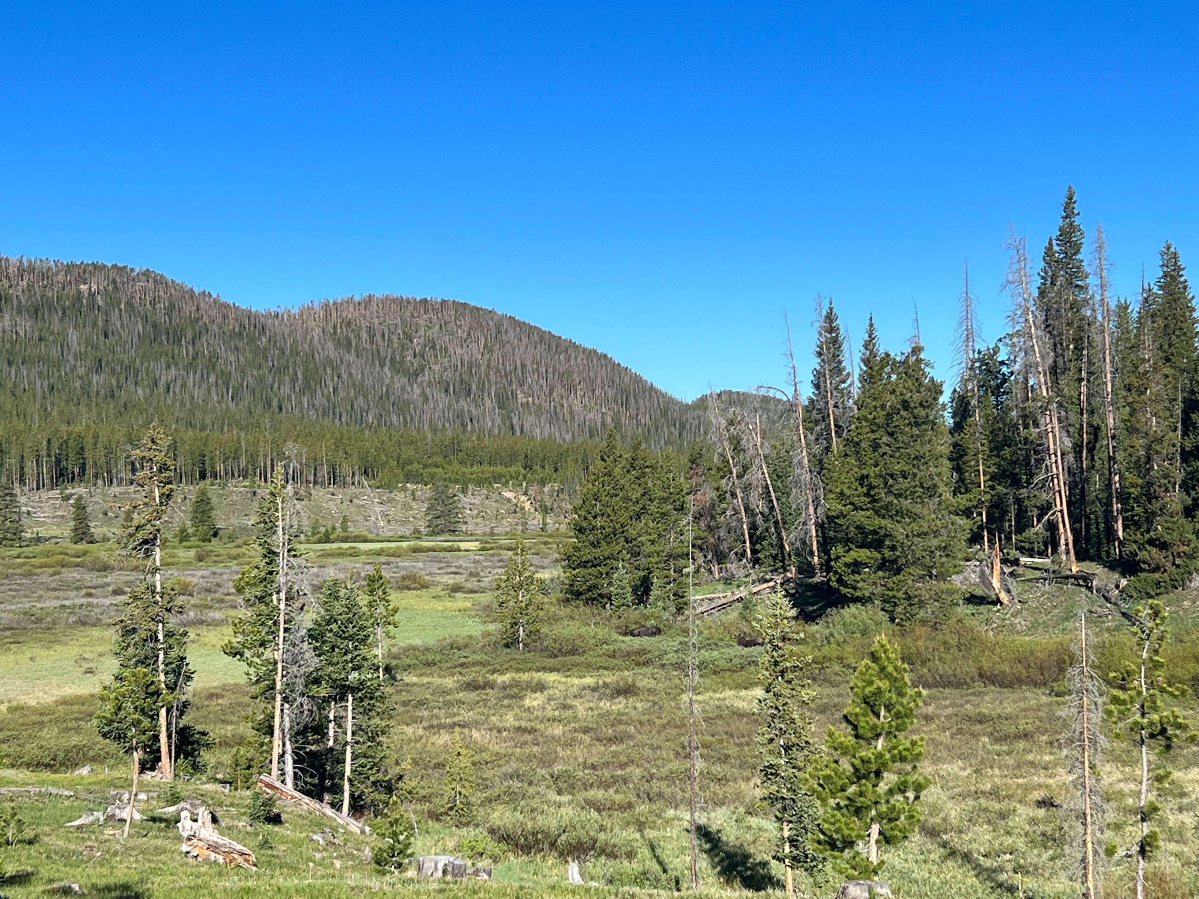 Camper-submitted photo at Ranger Lakes Campground — State Forest State Park near Gould, CO
