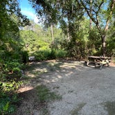 Review photo of Stephen Foster Folk Culture Center State Park Campground by Lorilee S., June 22, 2022