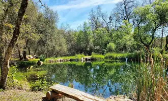 Camping near Tranquillity Base: Peaceful Pond Retreat, Pinecrest, California