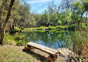 Peaceful Pond Retreat
