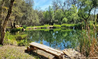 Peaceful Pond Retreat
