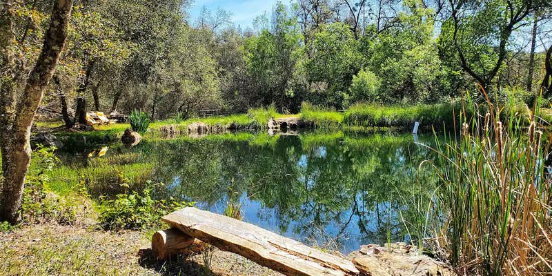 Camper submitted image from Peaceful Pond Retreat