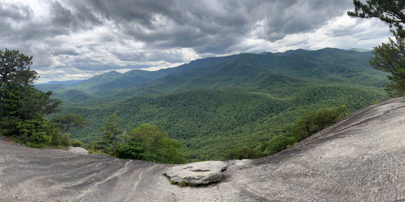 Camper submitted image from Pisgah forest looking Glass trail head