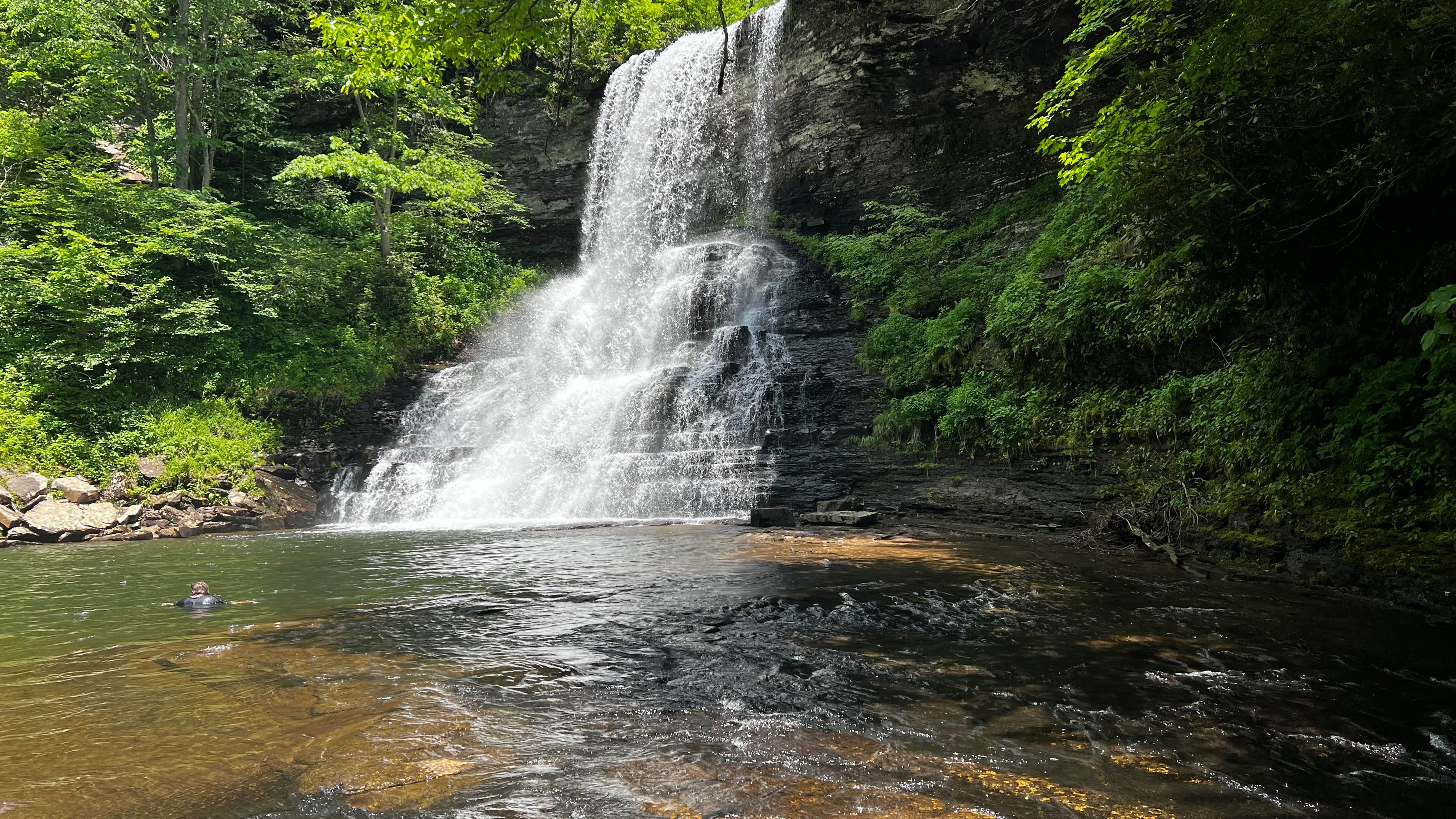Camper-submitted photo at Jefferson National Forest Beartree Campground near Laurel Bloomery, TN