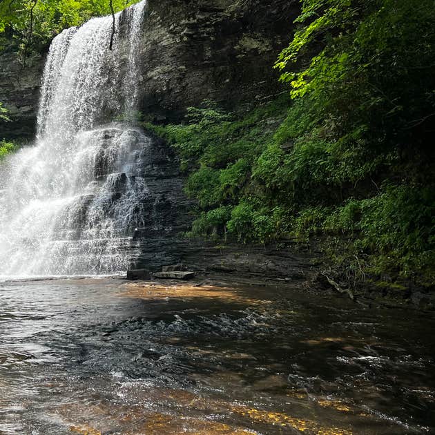 Jefferson National Forest Beartree Campground | Damascus, VA