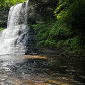 Review photo of Jefferson National Forest Beartree Campground by J M., June 22, 2022