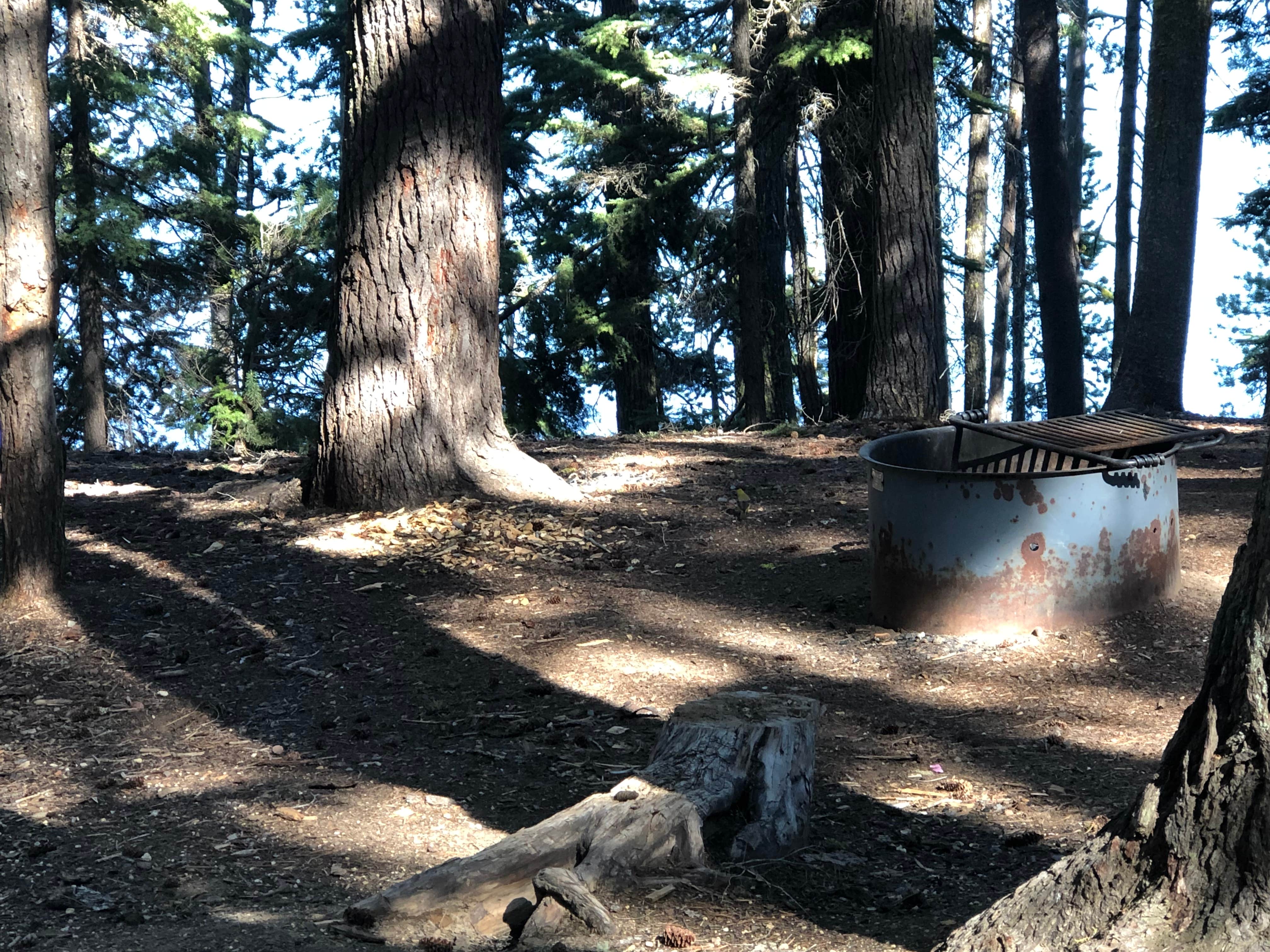 Camper-submitted photo at Digit Point Campground near Chemult, OR