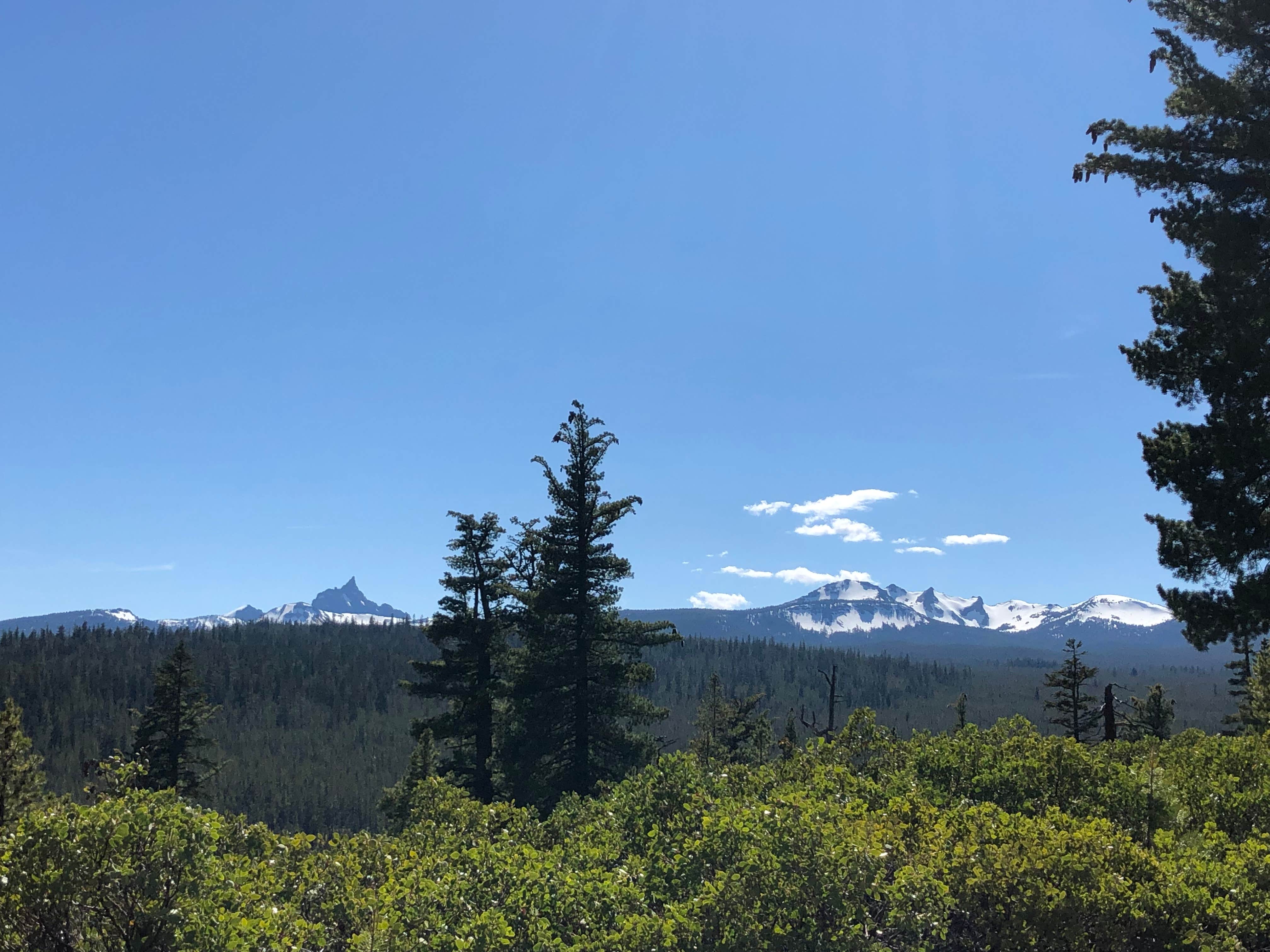 Camping near Walt Haring Sno-Park & Campground: Digit Point Campground, Chemult, Oregon