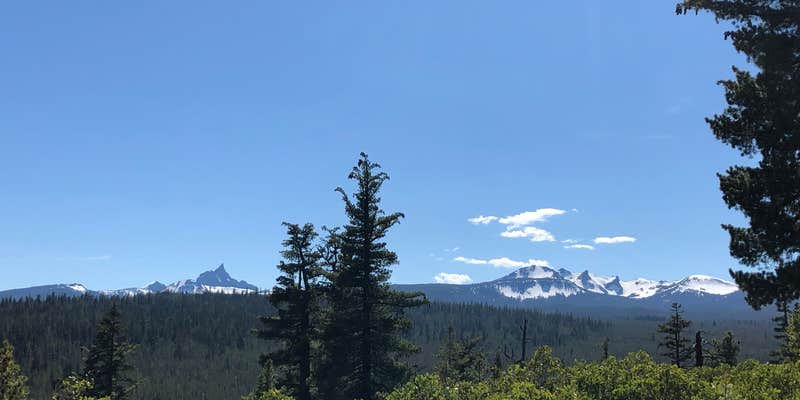 Camper submitted image from Digit Point Campground