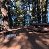 Review photo of Digit Point Campground by allison W., June 22, 2022