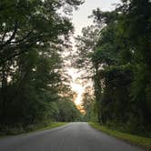 Review photo of COE Walter F George Lake White Oak Creek Campground by Lorilee S., June 22, 2022