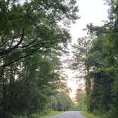 Review photo of COE Walter F George Lake White Oak Creek Campground by Lorilee S., June 22, 2022