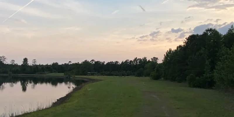 Camper submitted image from The Pine Tree Retreat