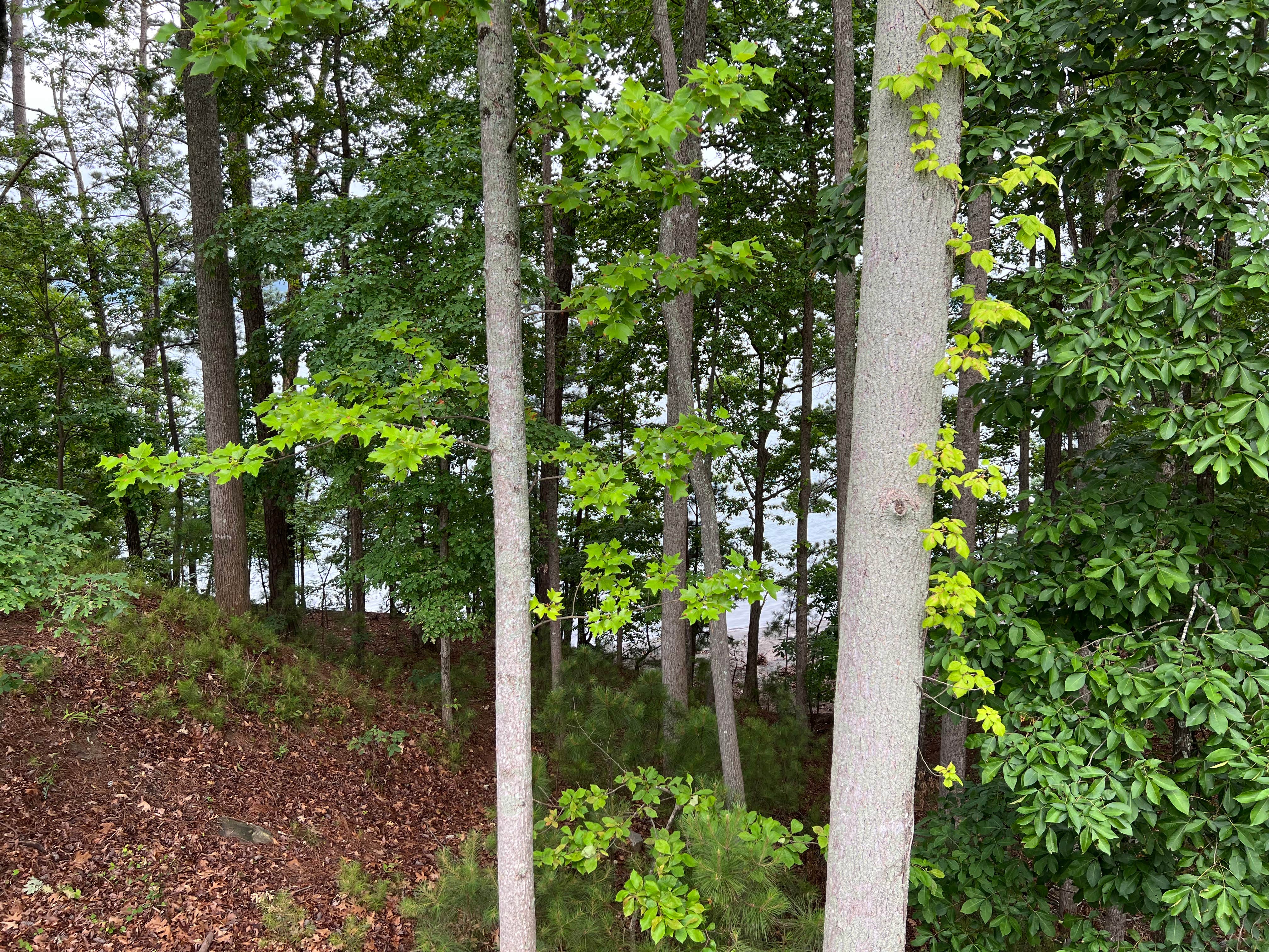 Camper-submitted photo at Margaritaville near Buford, GA