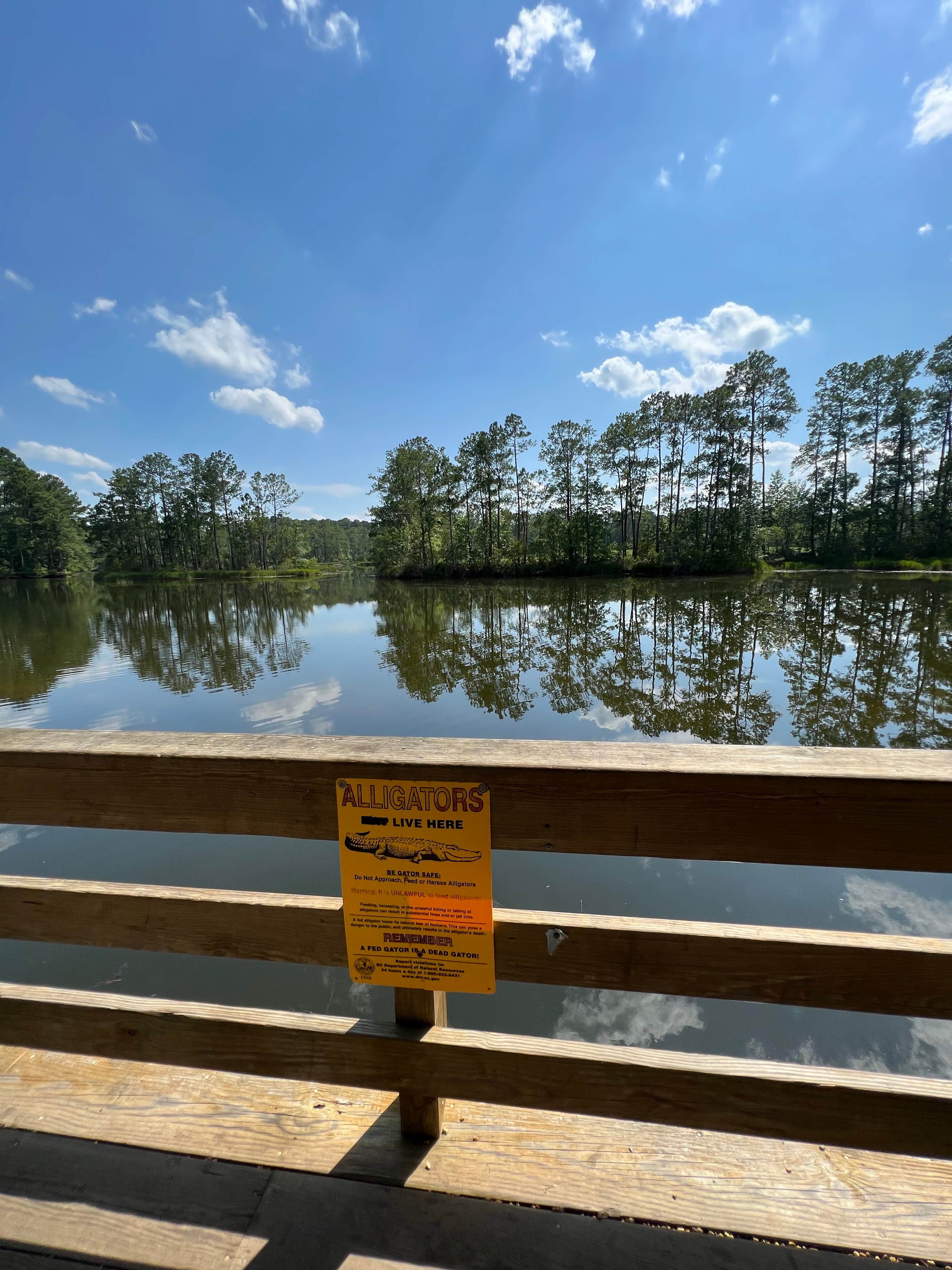 Camper submitted image from Lake Jasper RV Park - 4