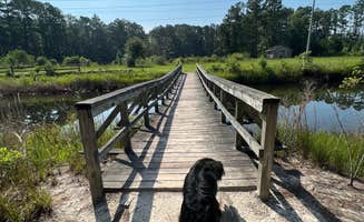 Fanny D.'s photo of camping with pets at Lake Jasper RV Park near Tybee Island, GA