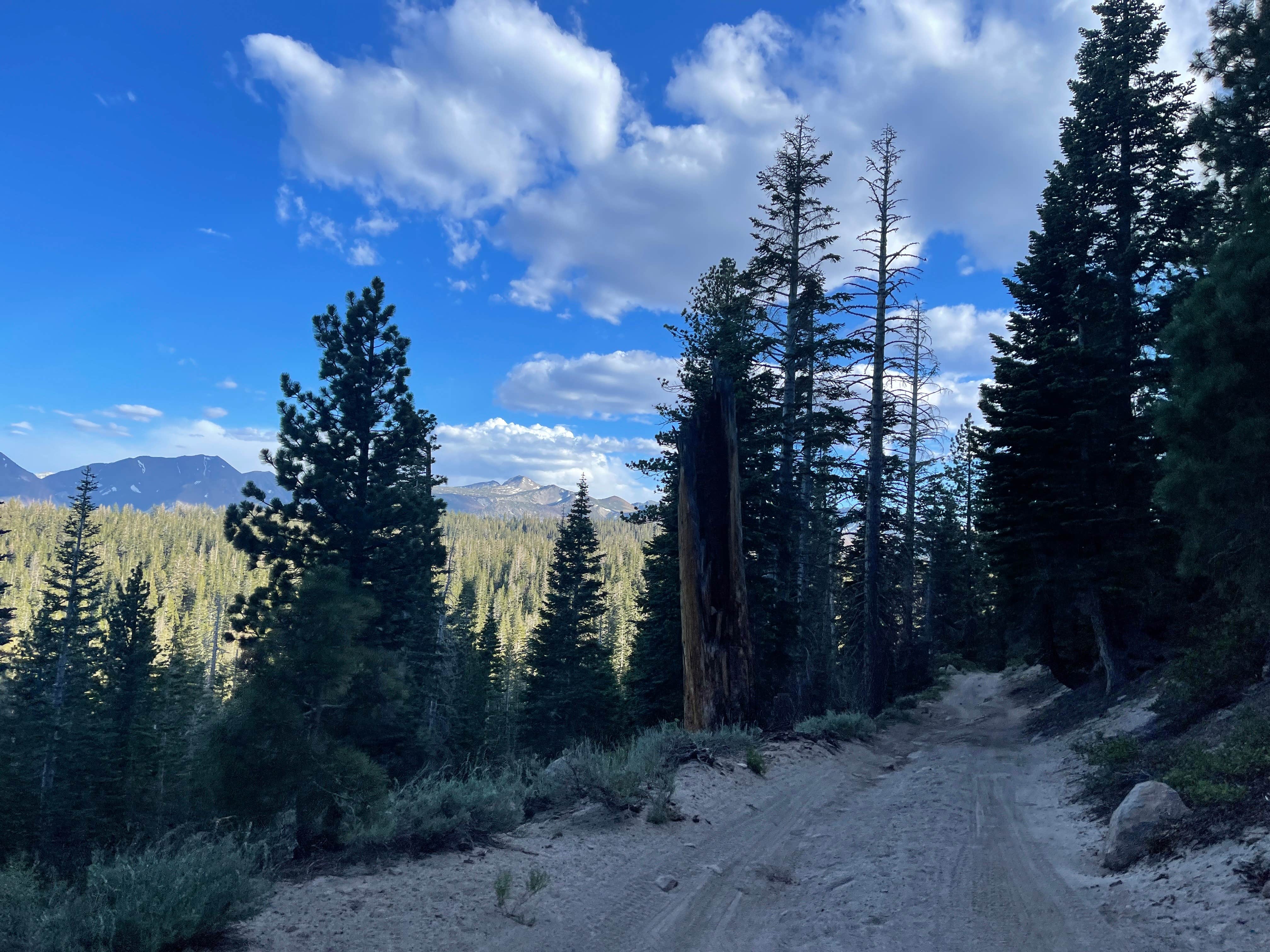 Camper-submitted photo at Scenic Loop - Dispersed Camping near Mono Hot Springs, CA
