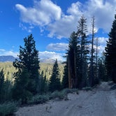 Review photo of Scenic Loop - Dispersed Camping by Owen T., June 22, 2022