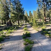 Review photo of Scenic Loop - Dispersed Camping by Owen T., June 22, 2022
