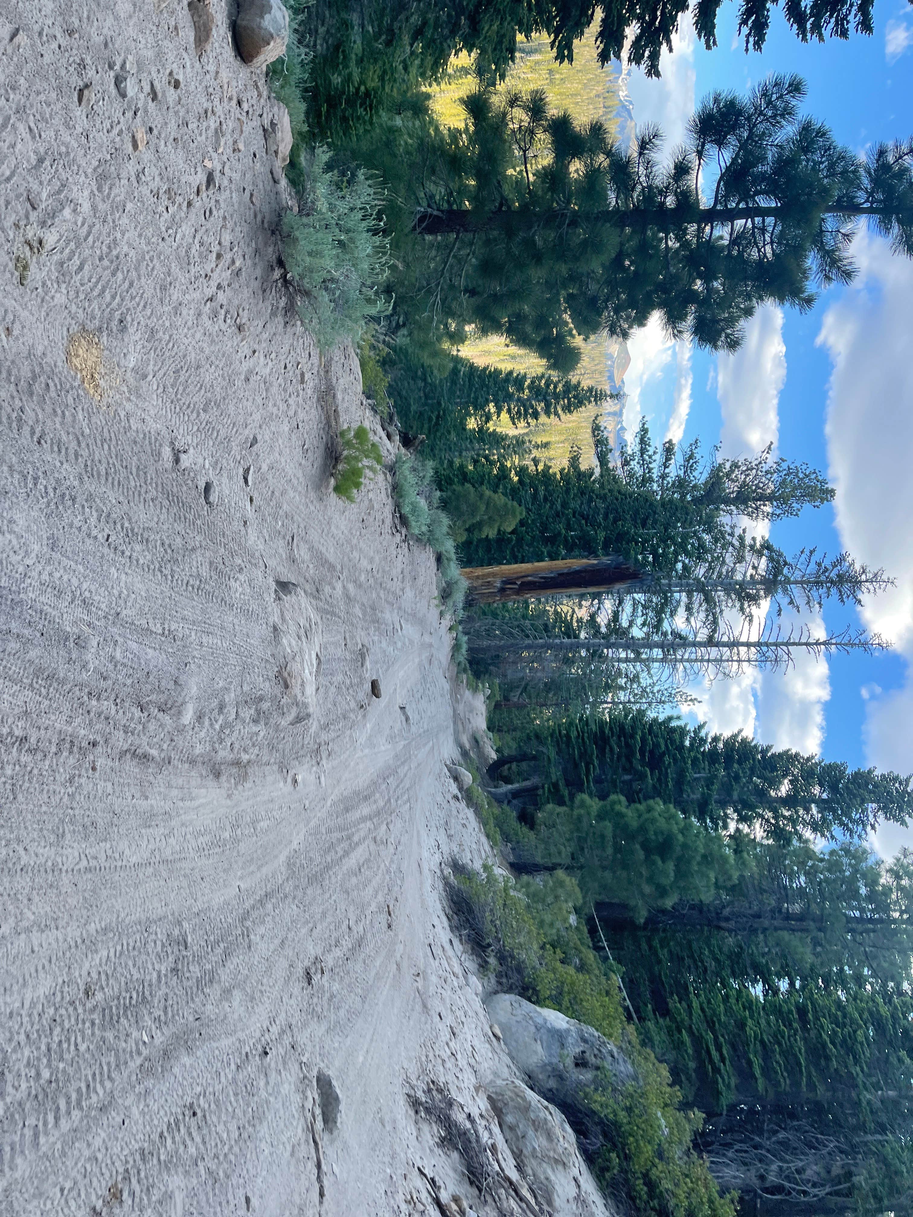Camper-submitted photo at Scenic Loop Dispersed Camping - Eastside near Inyo National Forest