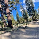 Review photo of Scenic Loop Dispersed Camping - Eastside by Owen T., June 22, 2022