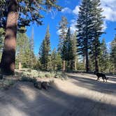 Review photo of Scenic Loop Dispersed Camping - Eastside by Owen T., June 22, 2022