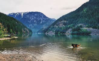 Rhett B.'s photo of camping with pets at Colonial Creek North Campground — Ross Lake National Recreation Area near North Cascades National Park