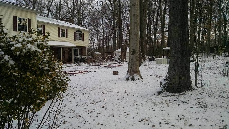 Camper-submitted photo at Cecil County Permaculture near Newark, DE