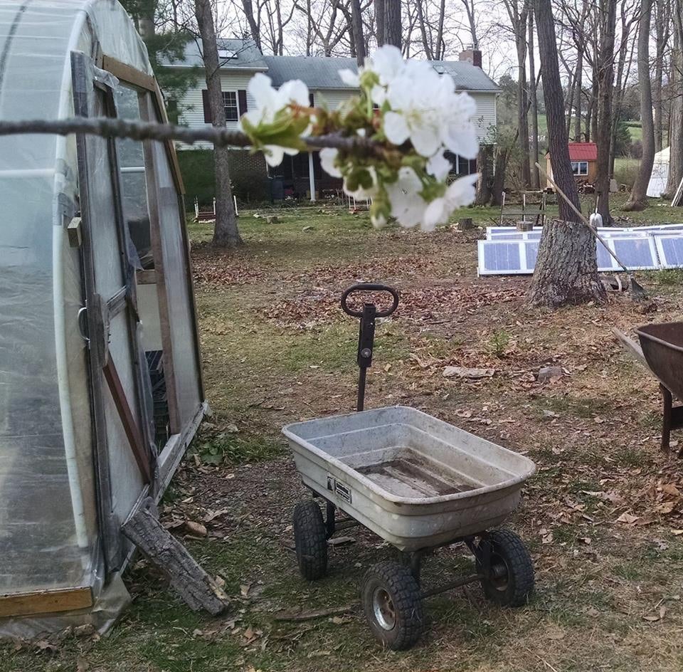 Camper submitted image from Cecil County Permaculture - 2