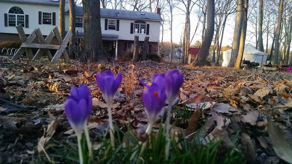 Camper-submitted photo at Cecil County Permaculture near Newark, DE