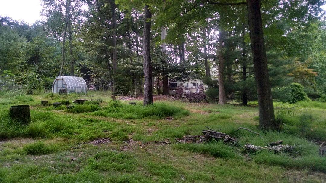 Camper-submitted photo at Cecil County Permaculture near Newark, DE