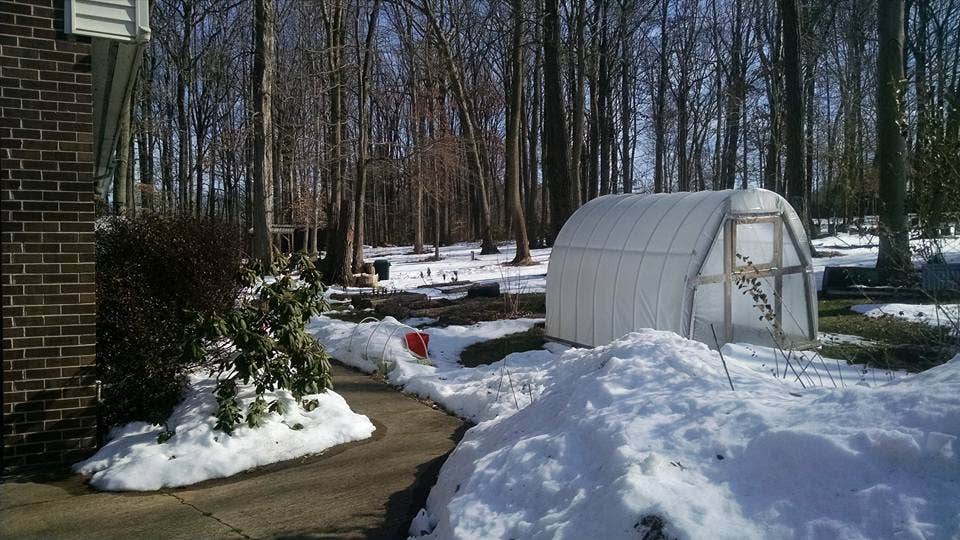 An V.'s photo at Cecil County Permaculture near Hockessin, DE