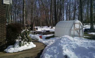 An V.'s photo at Cecil County Permaculture near Kennedyville, MD