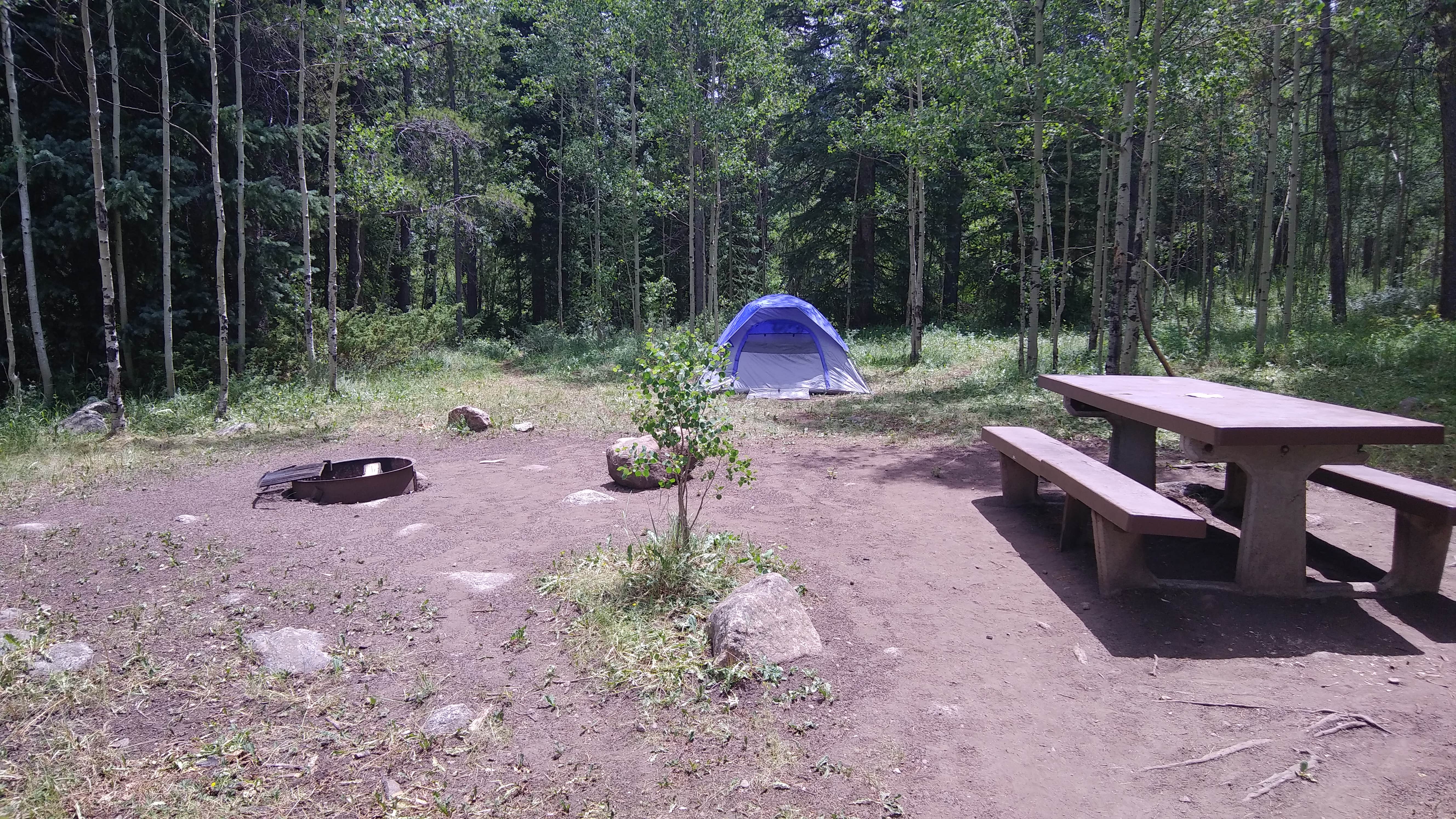 Erin E.'s photo at Chapman Campground And Group Camp - White River NF near White River National Forest