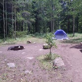 Review photo of Chapman Campground And Group Camp - White River NF by Erin E., July 16, 2018
