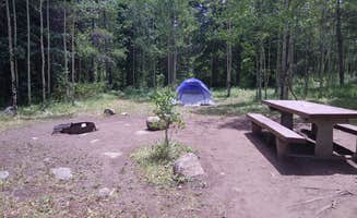 Erin E.'s photo at Chapman Campground And Group Camp - White River NF near White River National Forest