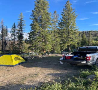 Camper-submitted photo from Ute Pass Dispersed Camping