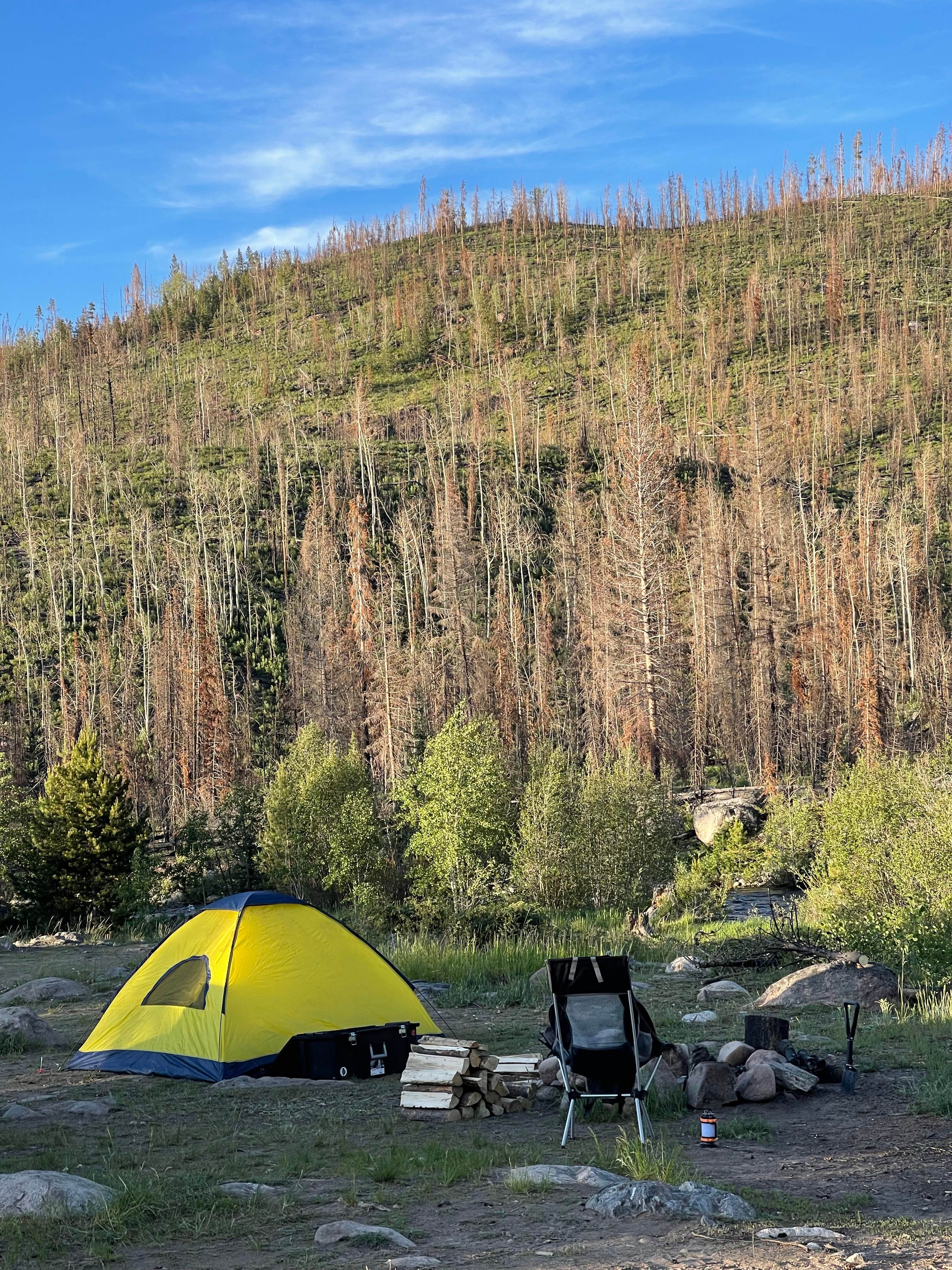 Camper-submitted photo at Ute Pass Dispersed Camping near Heeney, CO