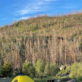 Review photo of Ute Pass Dispersed Camping by Andrew W., June 22, 2022