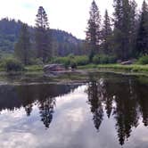 Review photo of Chapman Campground And Group Camp - White River NF by Erin E., July 16, 2018