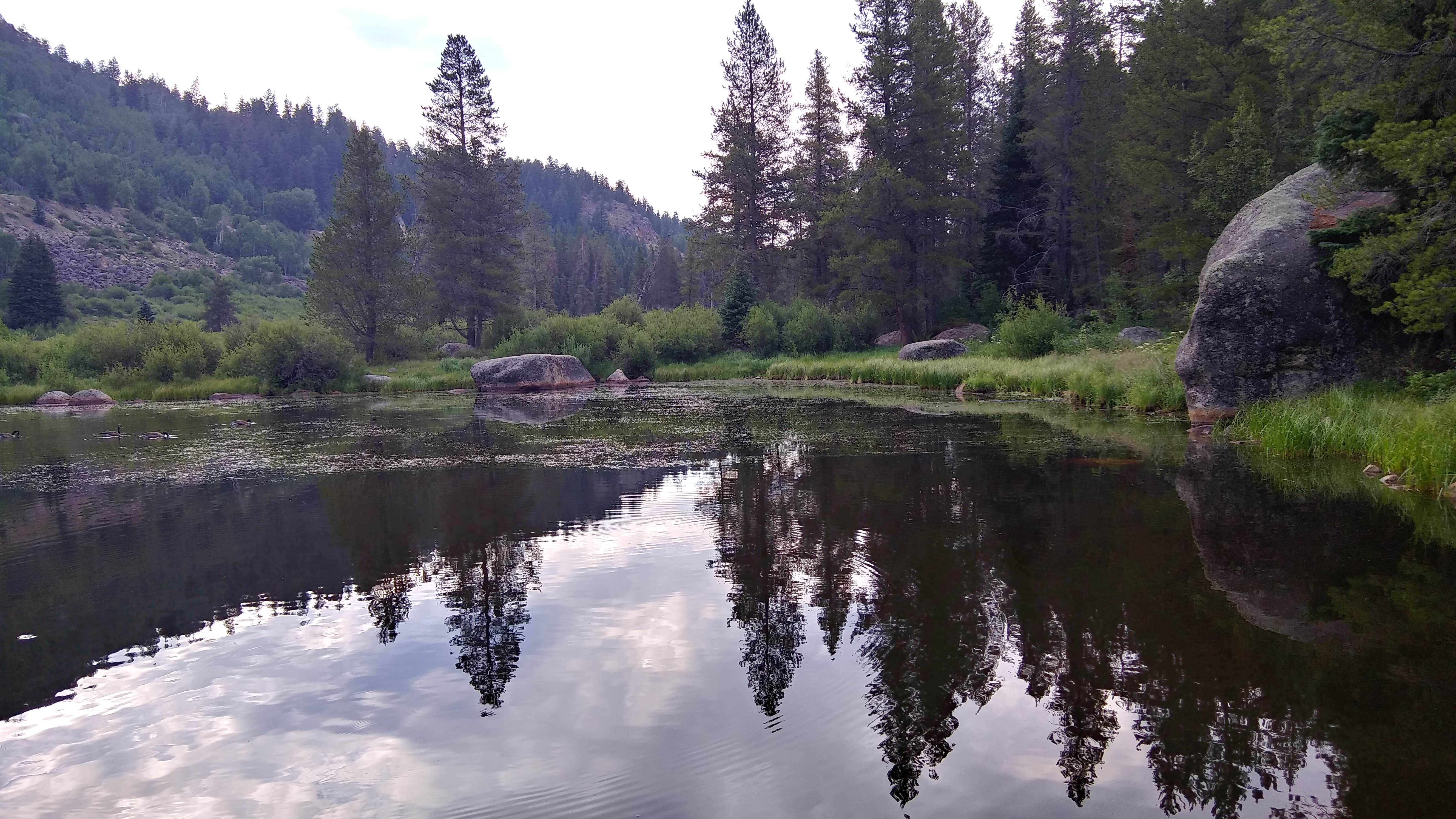 Camper submitted image from Chapman Campground And Group Camp - White River NF - 3