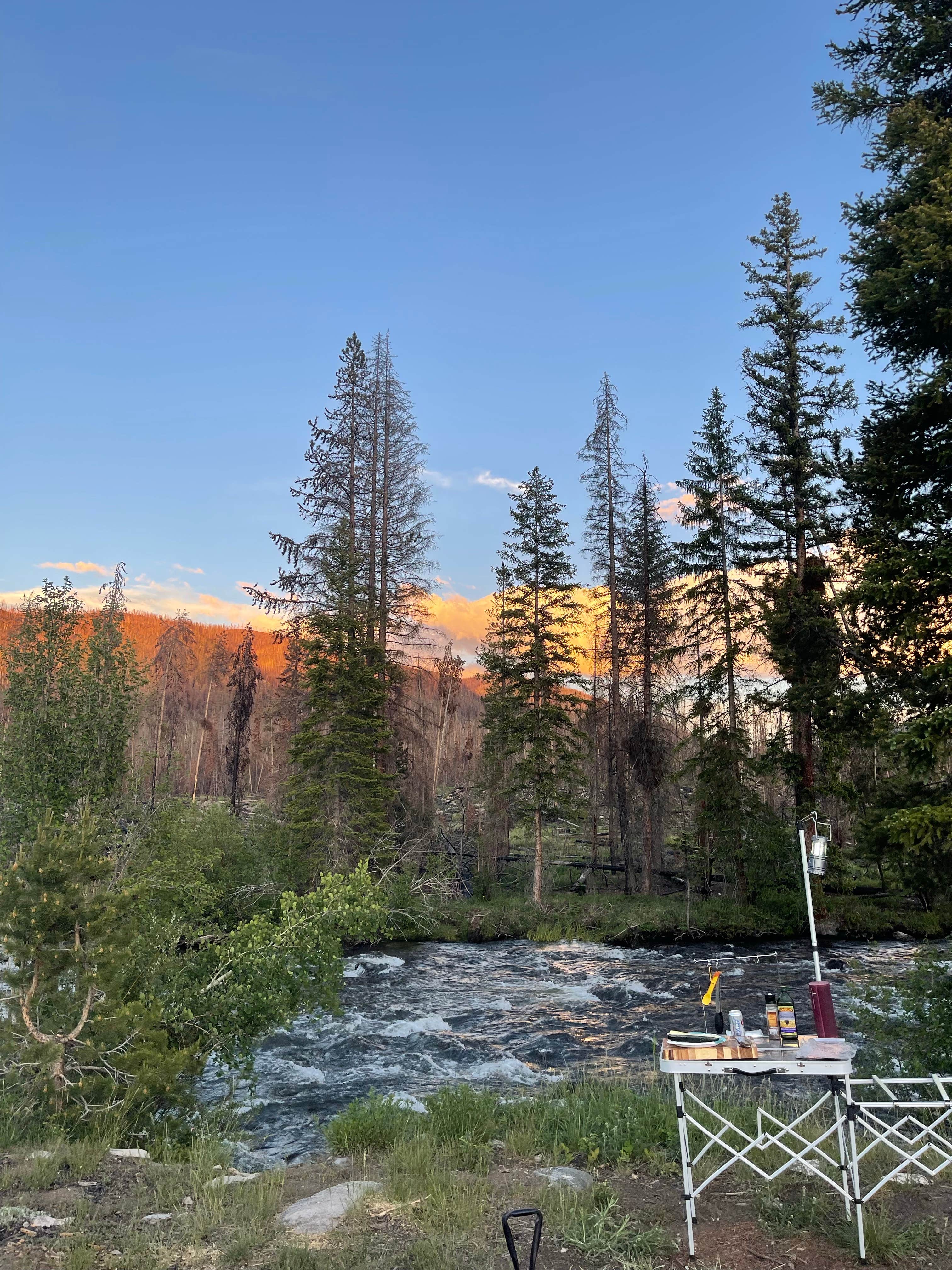 Camper submitted image from Ute Pass Dispersed Camping - 5